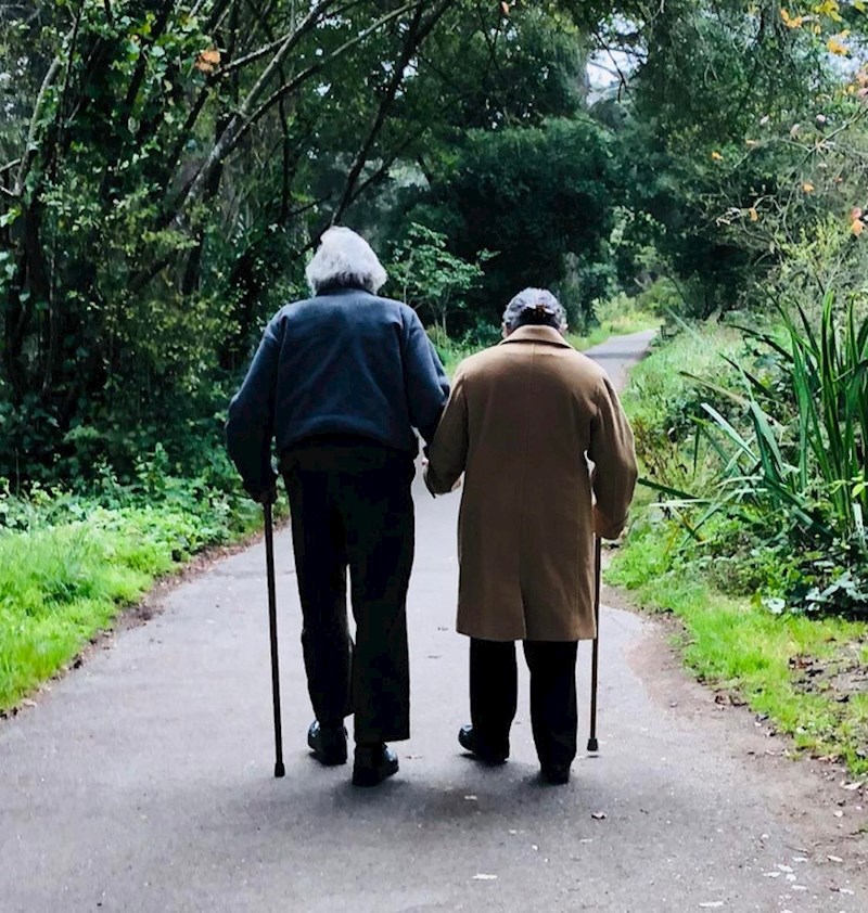 "Nedavno sam vidio ovaj par u parku i morao sam ih fotografirati"