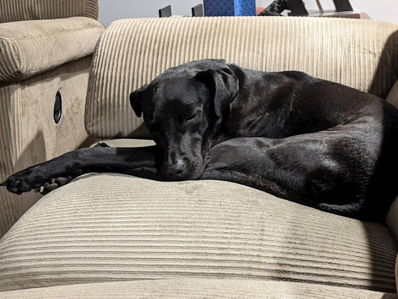 9. Jakoooo dugačka noga