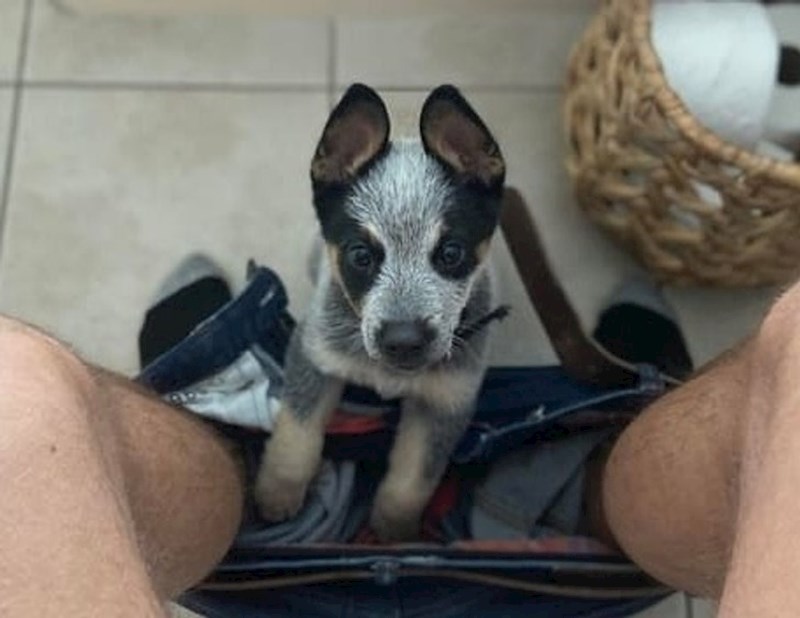 11. "Ma tko je to vidio biti sam na wc-u..."