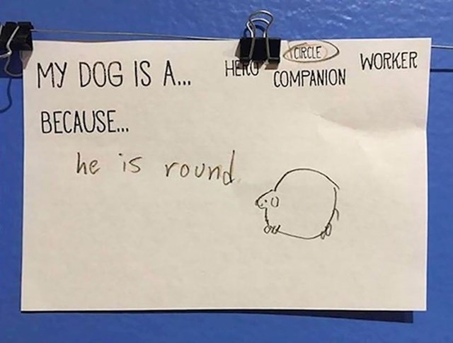 Klinkina izjava u školi: "Moj pas je krug jer je okrugao."