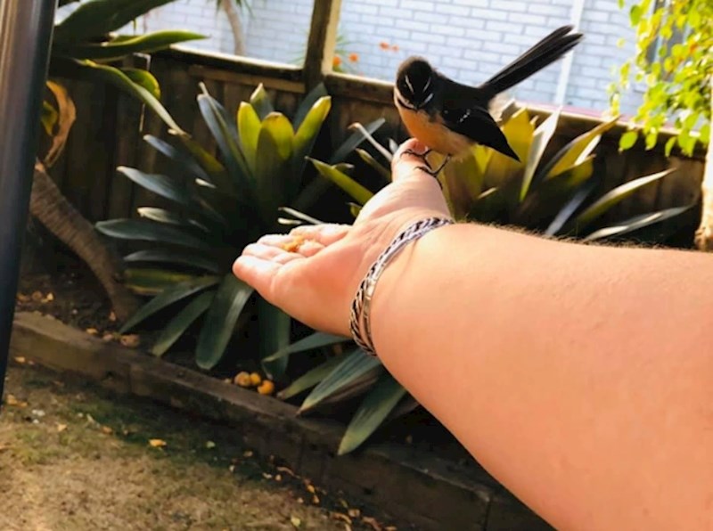 14. "Osjećam se kao Snjeguljica!"