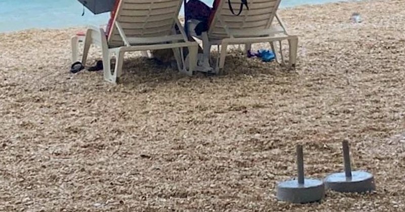 Prizor s plaže u Baškoj Vodi nasmijao ekipu na Fejsu, odmah će vam biti jasno zašto