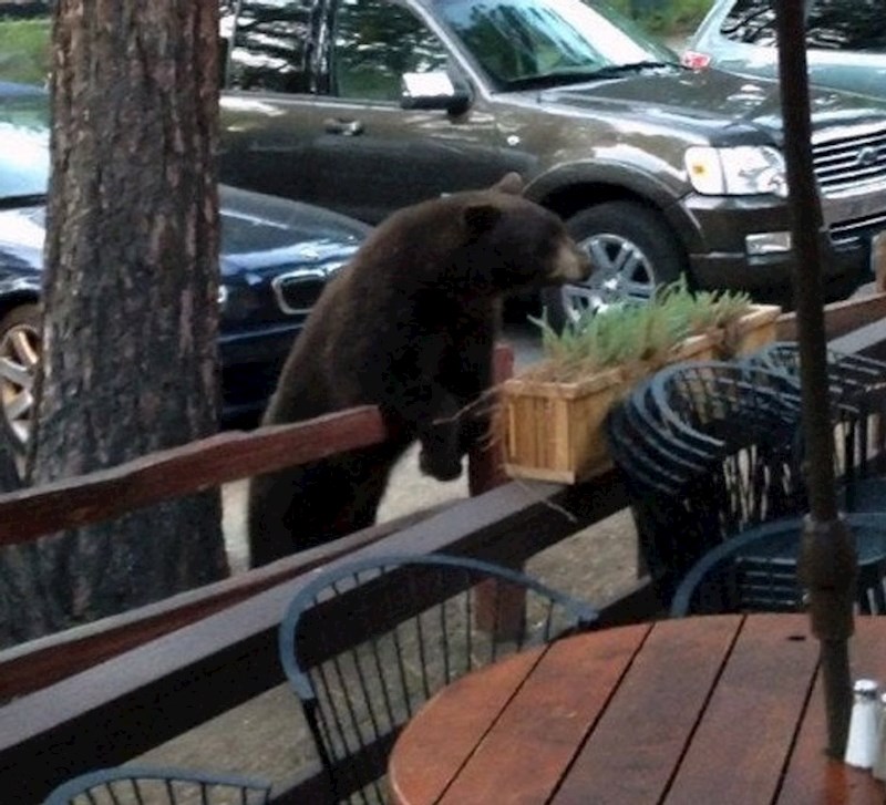 8. "Ne očekuješ ovo vidjeti dok si na kavi"