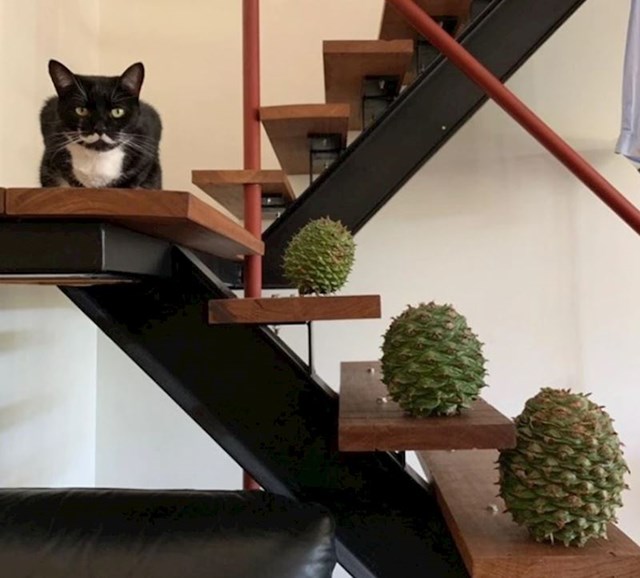 3.