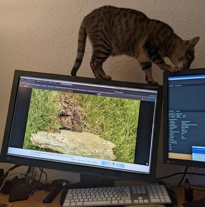 9. Nekoliko koraka do potencijalne katastrofe