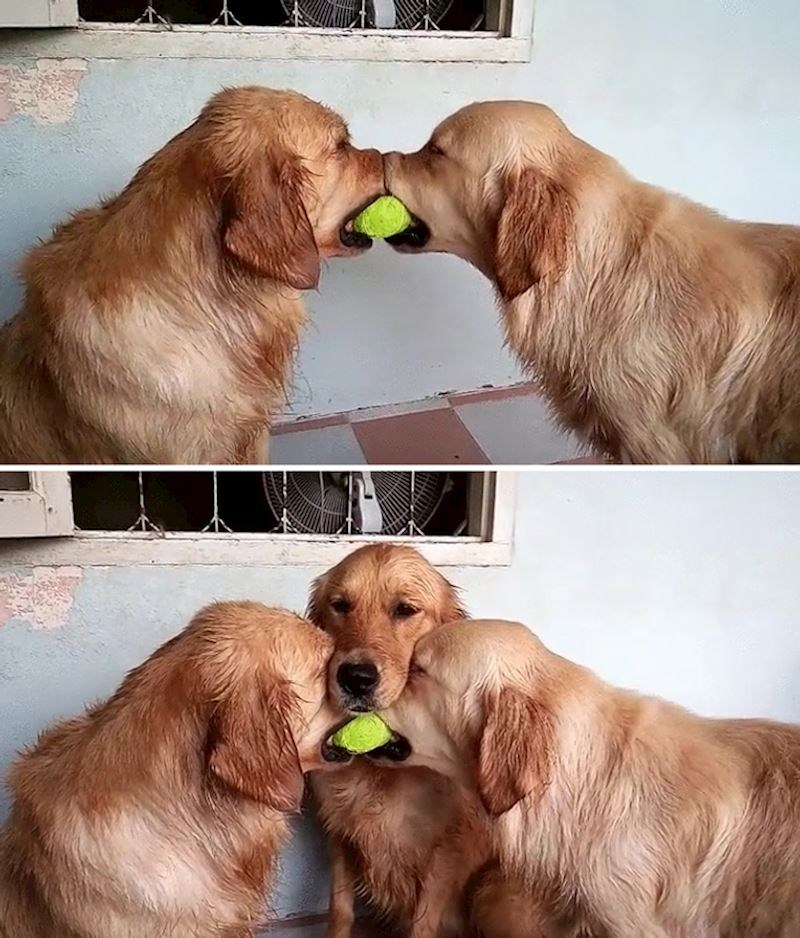 14. "I tako su stajali neko vrijeme..."