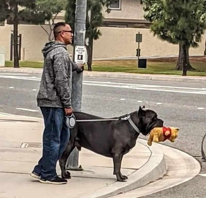 5. "Znači ovaj prizor mi je totalno popravio dan!"