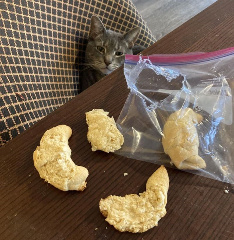 Uvrijeđen je što su ga uopće izdvojili kao sumnjivca