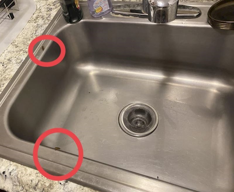 5. Dočekali ih gosti