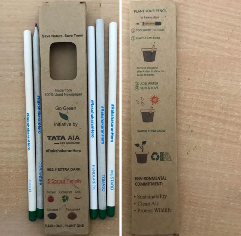 11. Nakon što potrošite ove olovke, možete ih posaditi i izrasti će različiti plodovi