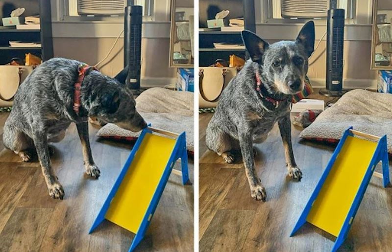 13. "I on je razočaran..."