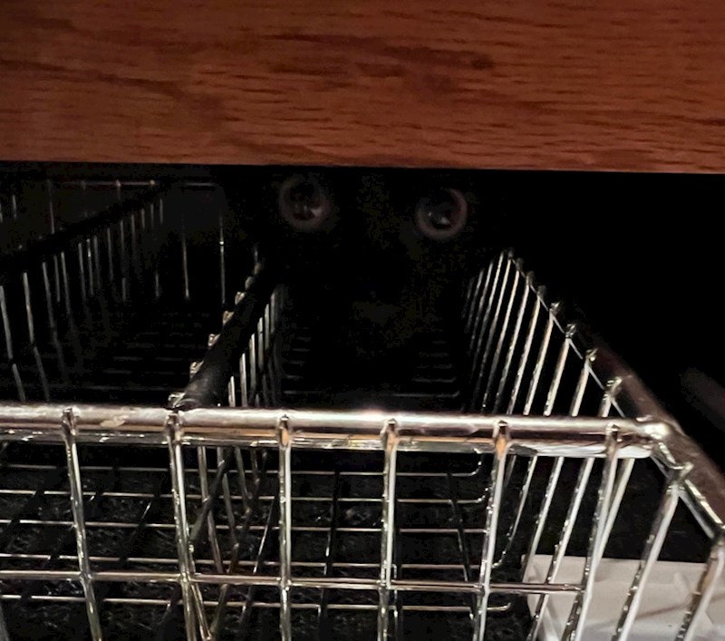 11. "Ne mogu vam opisati koliko se puta uplašim kad vidim da nešto sa žutim očima zuri u mene, a onda se sjetim da je to moj blesavi mačak"