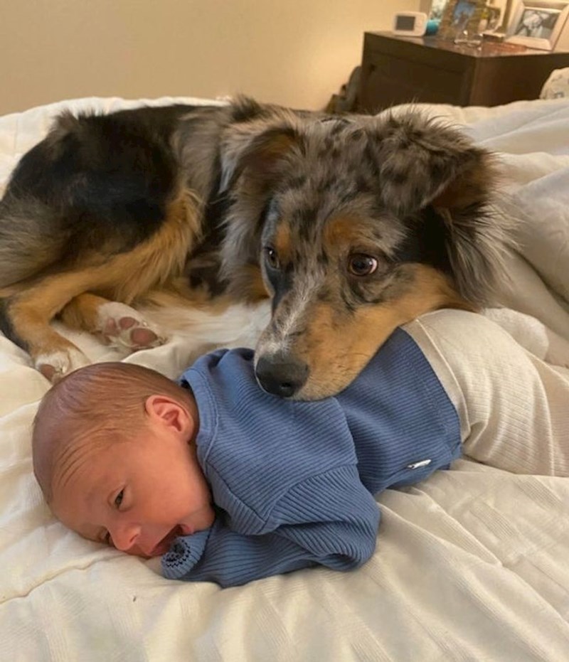 12. "Dok god se maknem od bebe odmah započinje posao i uloga dadilje koju si je sam zadao"