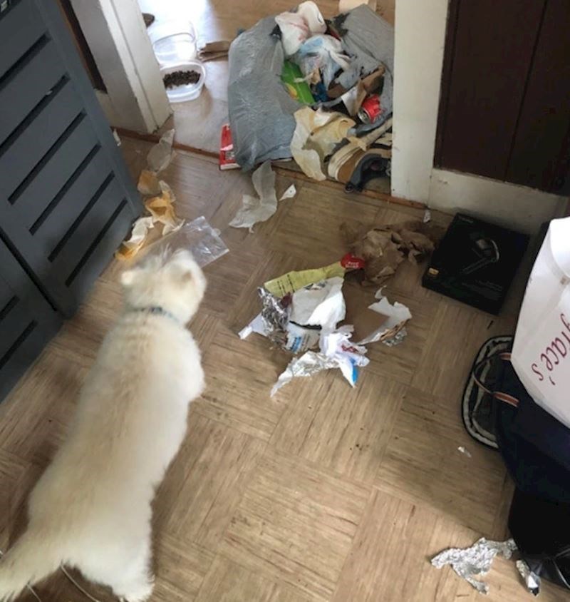 "Netko je bio previše znatiželjan"