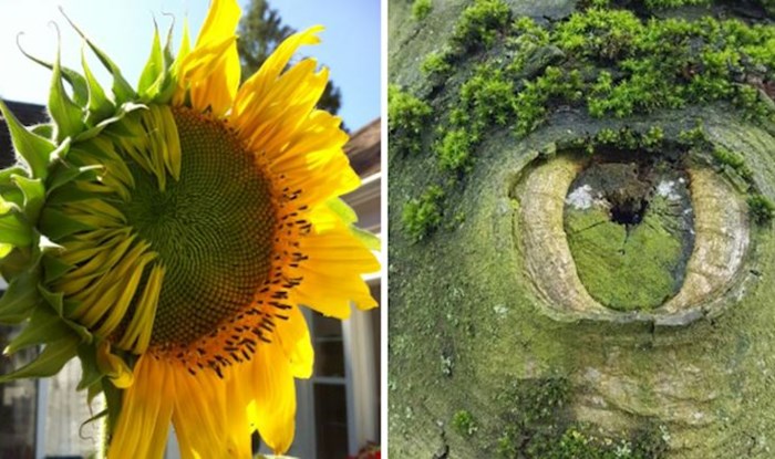 10 očaravajućih prizora koji dokazuju da nas majka priroda neprestano iznenađuje svojom ljepotom
