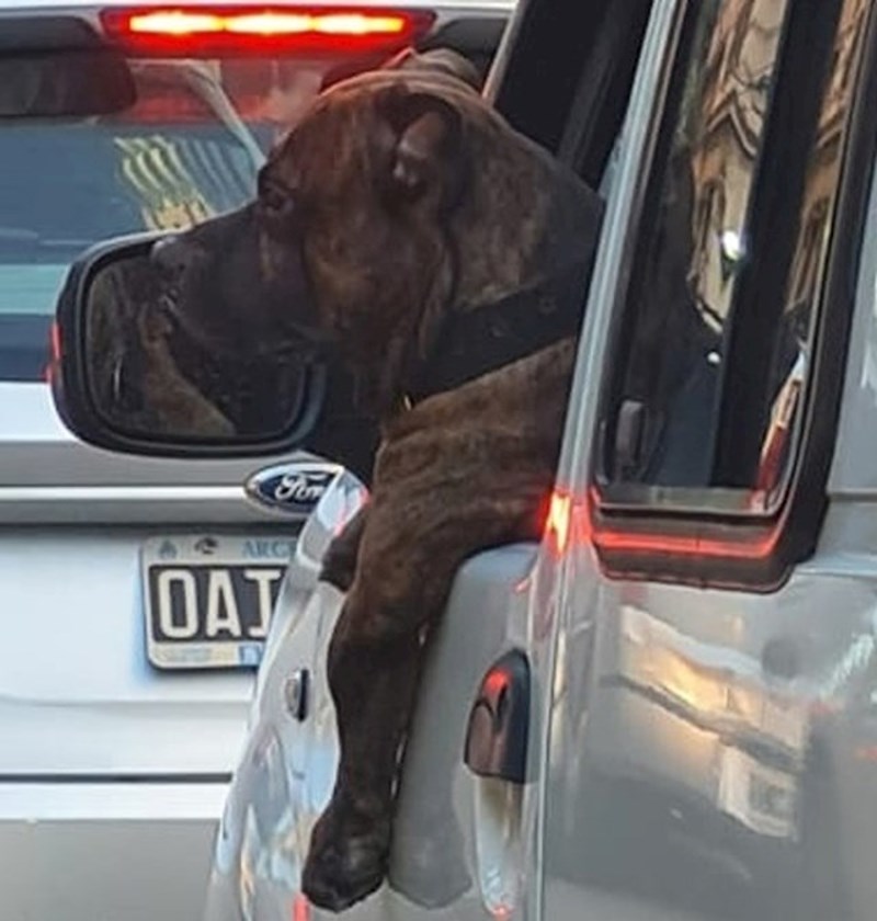 Dosta mu je čekanja u koloni