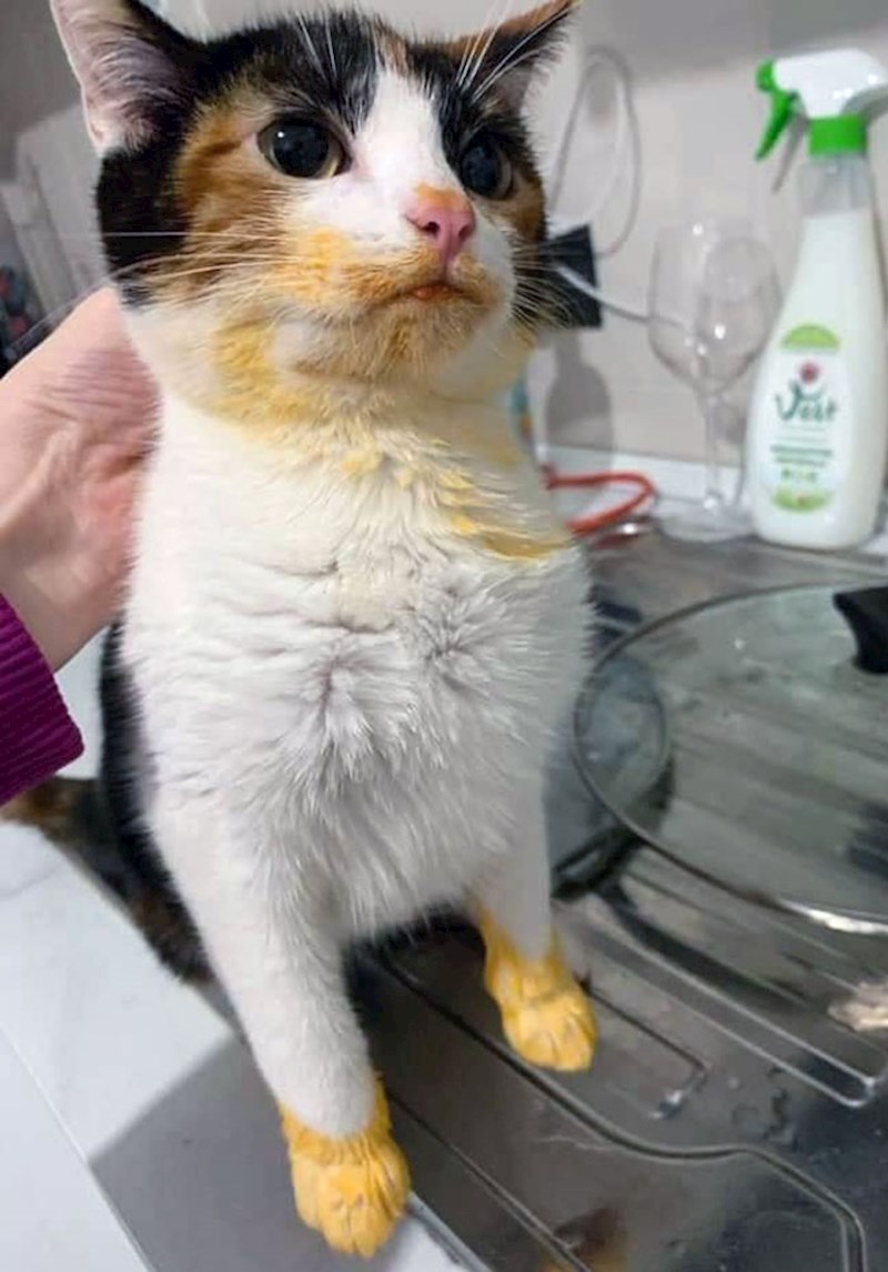 Njoj je još bolje 😃