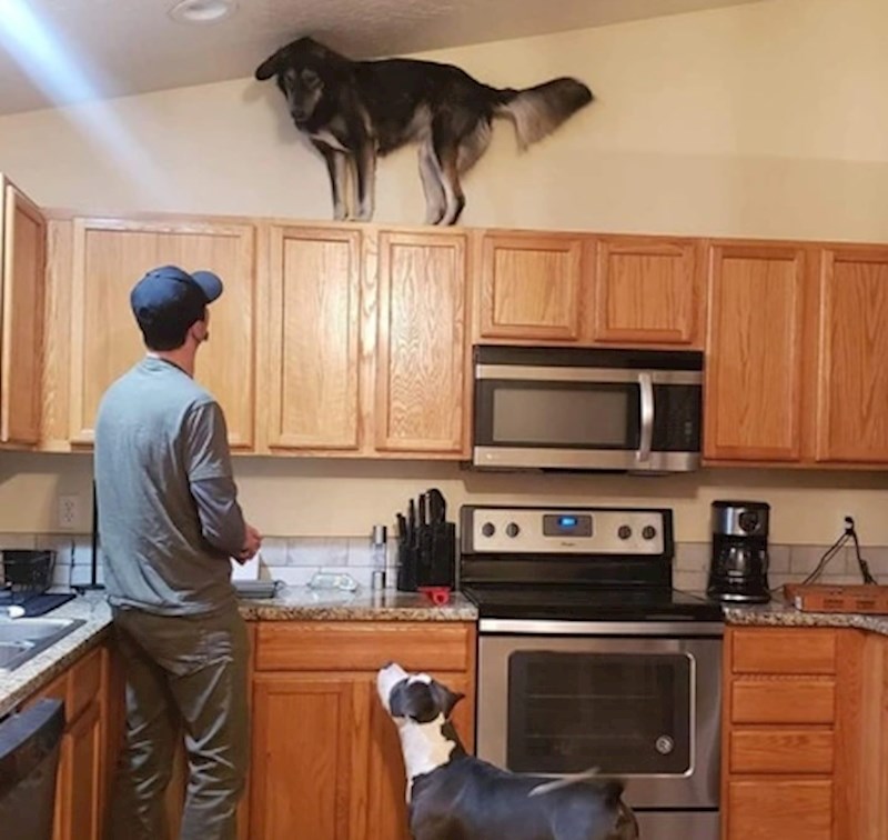 "Došli smo kući i dočekalo nas je pravo iznenađenje"