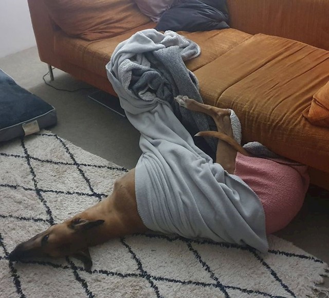 11.