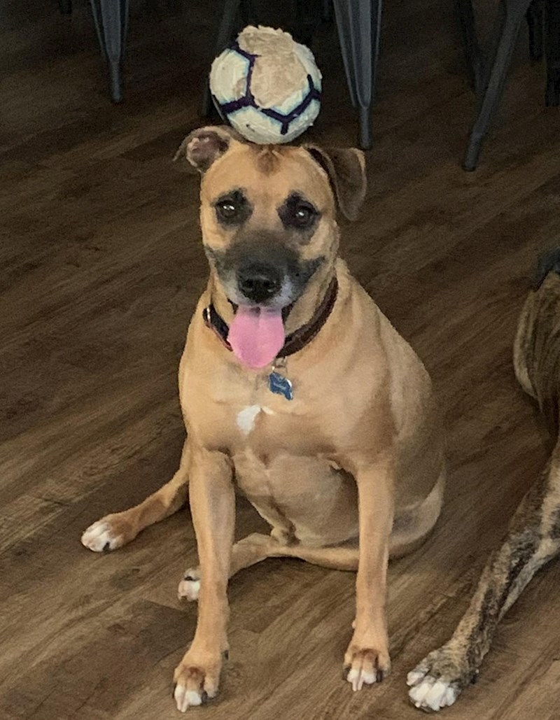 11. Lopta nije na njegovoj glavi...