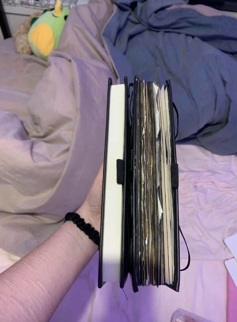 "Novi dnevnik u odnosu na stari koji sam posvuda nosila sa sobom."