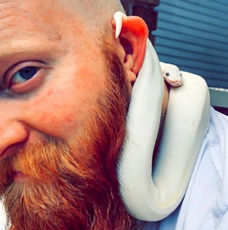 1. "Tko kaže da su zmije opasne životinje?"