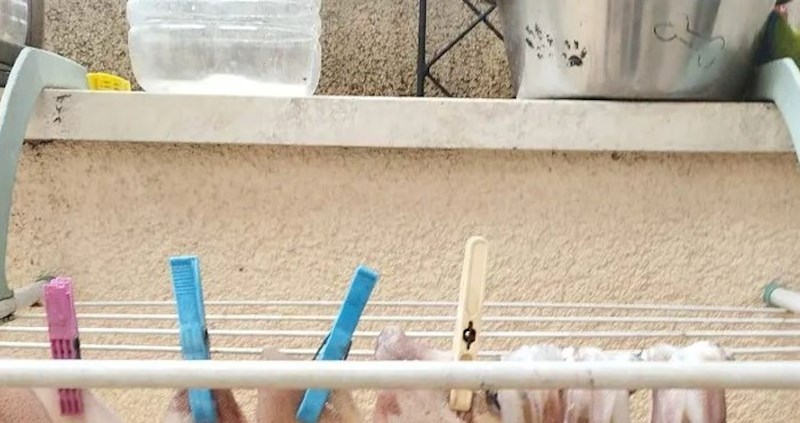 Ekipu na Fejsu nasmijao neobičan prizor s Brača, pogledajte što je netko stavio sušiti