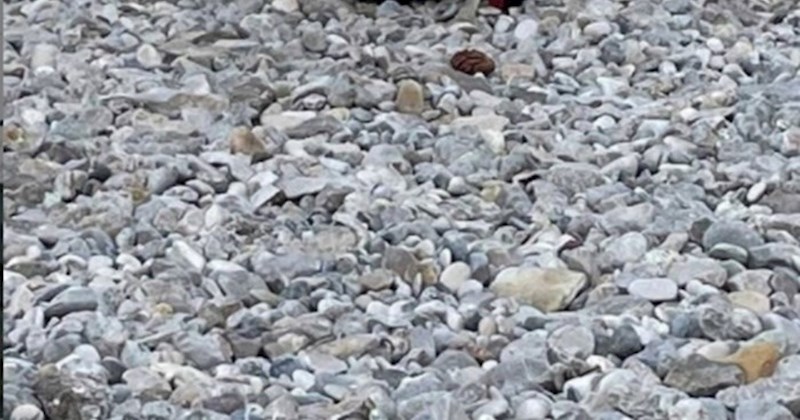 Ženi s plaže bilo je neudobno za glavu, pa je problem riješila na urnebesan način i nasmijala tisuće