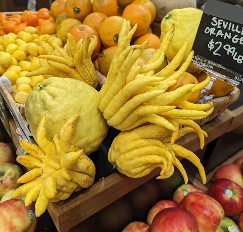 14. "Nikad nisam vidjela ovako nešto..."