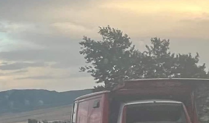 Netko je snimio bizaran prizor u prometu negdje u Gruziji, gotovo pa nećete vjerovati u što gledate