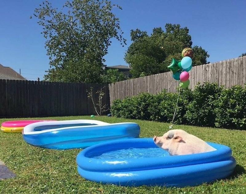 1. "On zna kako živjeti život"