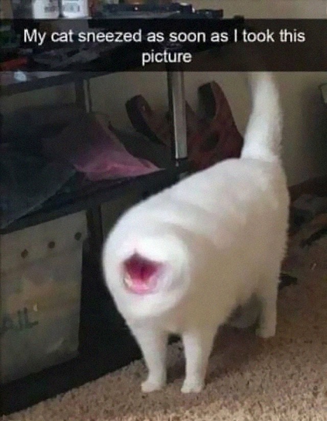 26.