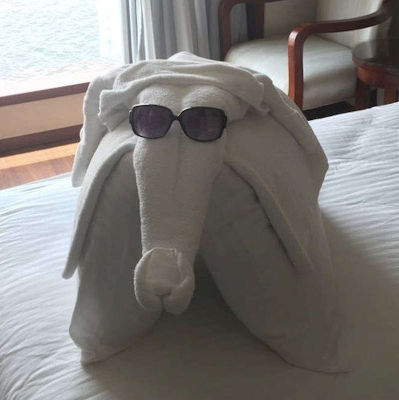 1. Ljudi su u rezervaciji naveli da s njima dolazi dijete pa je osoblje napravilo posebnu dobrodošlicu