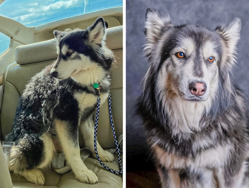 Ove dvije fotografije pokazuju da pažnja i ljubav s godinama mogu učiniti čuda