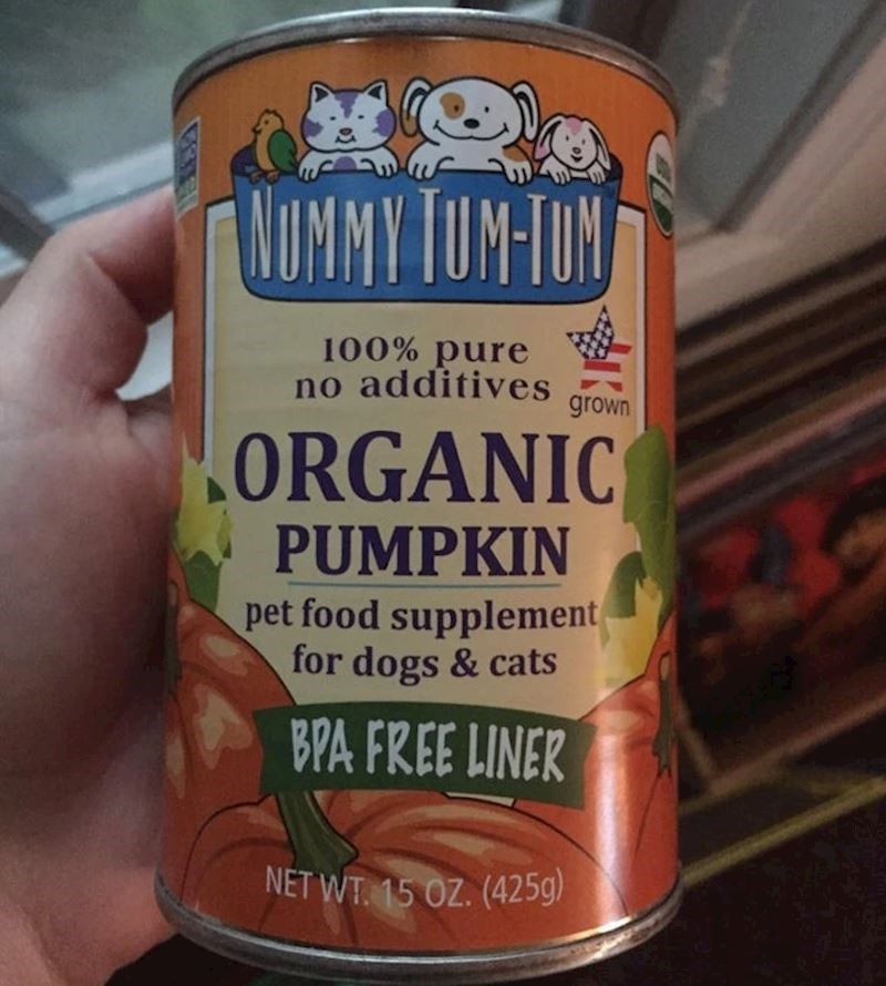 8. "Htjela sam napraviti pitu od bundeve i poslala dečka u dućan, vratio se s hranom za životinje..."