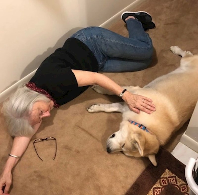 "Nedavno smo udomili ovog seniora i malo je reći da je oduševljen mojom mamom"