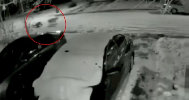 Nadzorna kamera uhvatila neobičan prizor u ulici, prasnut ćete od smijeha kad vidite o čemu je riječ