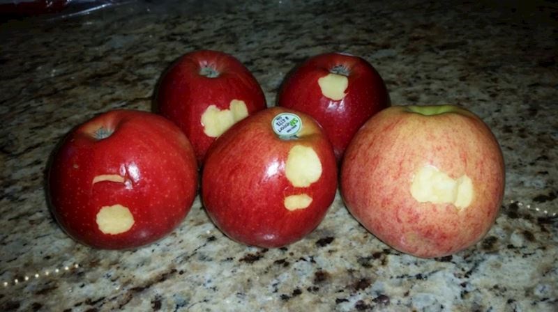 "Grizu li i vaši klinci ovako jabuke i onda ih samo ostave?"