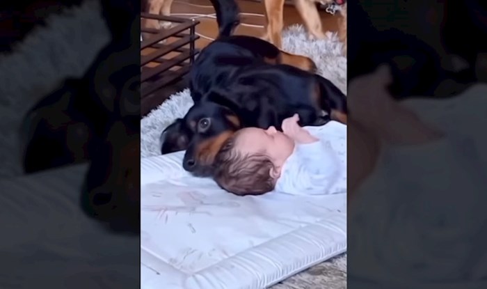 Jedna mama je snimila presladak trenutak između svoje bebe i psića, rastopit ćete se od slatkoće