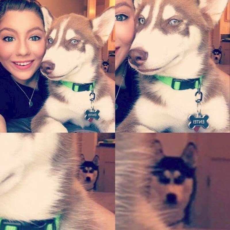 7. "Netko baš ne odobrava ovo slikanje..."