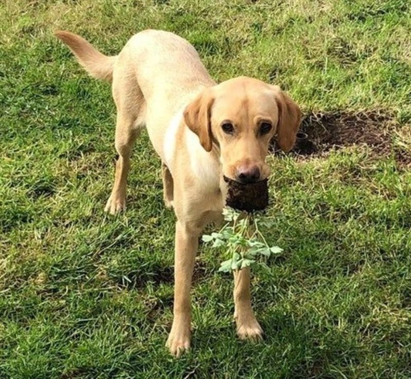1. Ulovili su ga točno u trenutku kad je odlazio s plijenom