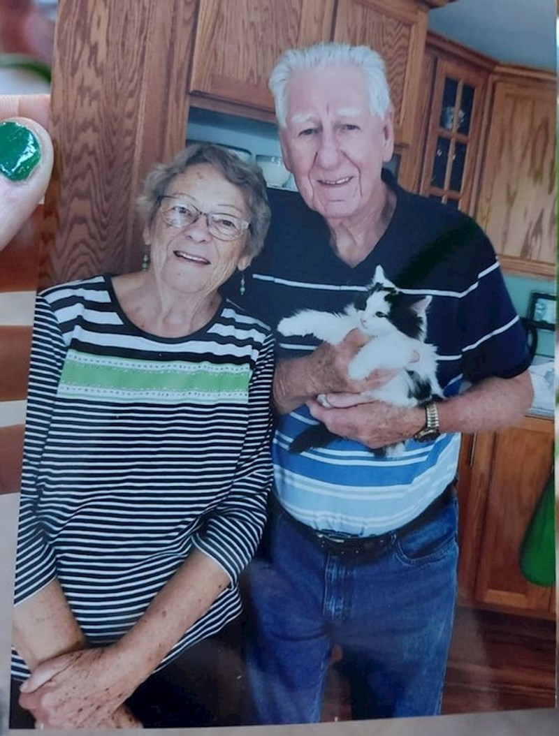 4. "Moji djed i baka su udomili mačku i umjesto da mi pošalju fotografiju na mobitel su mi odlučili baš poslati fotografiju. Predivni su!"