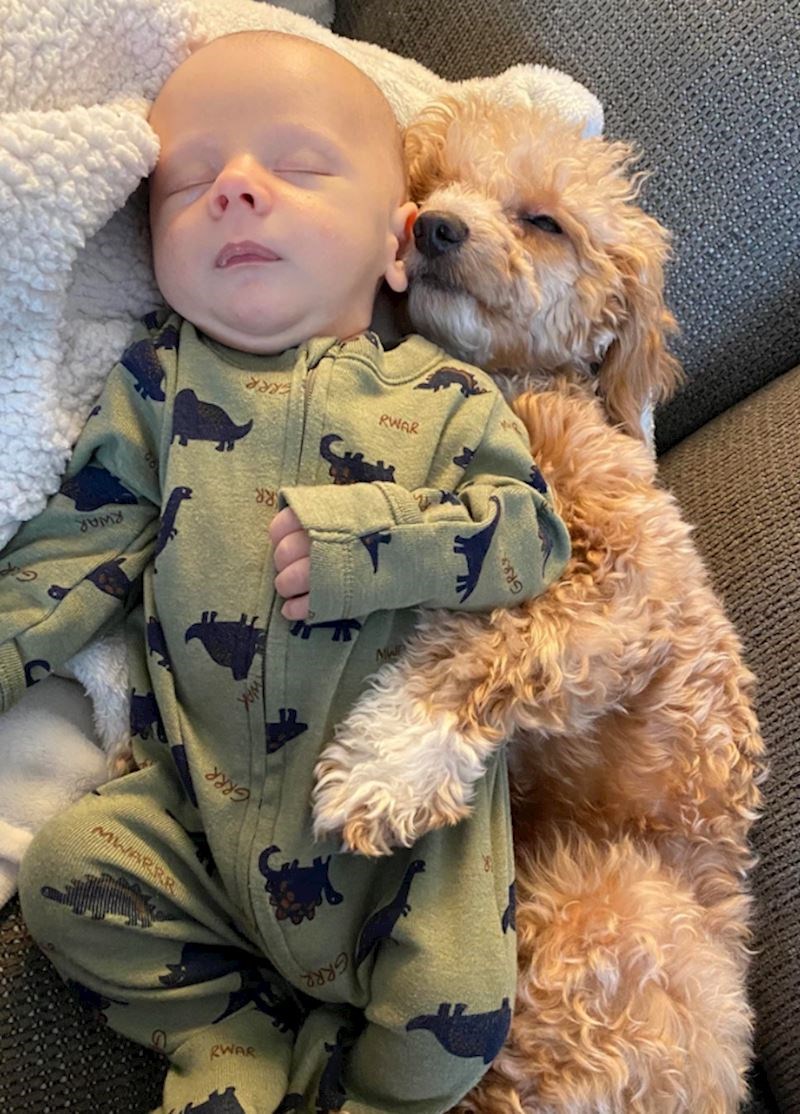 6. "Nije realno da su ovoliko slatki!"