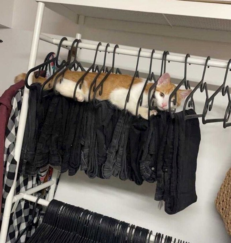 8. Malo neobično mjesto za odmaranje, ali dobro 😅