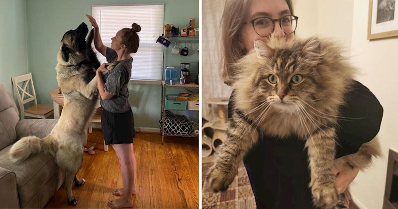 20+ nježnih divova čije će vam fotografije izmamiti osmijeh na lice