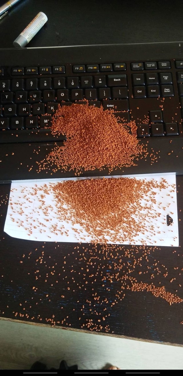 "Išao sam hraniti ribice i sva hrana mi je pala na i oko laptopa. Nikad neću sve uspjeti počistiti."