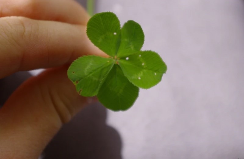 "Znači li ovo da me očekuje dupla sreća?"