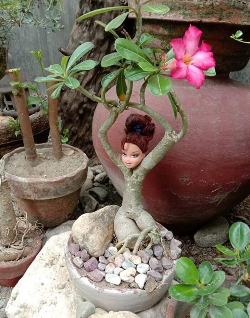 5. Malo čudno, ali opet fora (?)