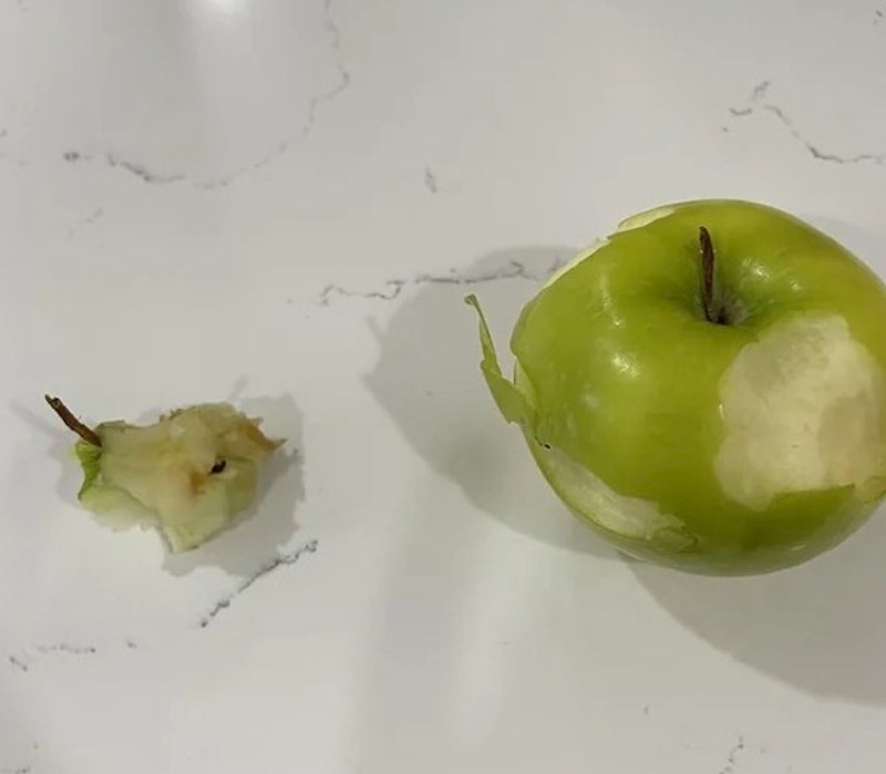 4. "Ova fotka najbolje pokazuje razliku između moje dvoje djece. Lijevu jabuku je pojeo trogodišnjak, a desnu dvogodišnjak"