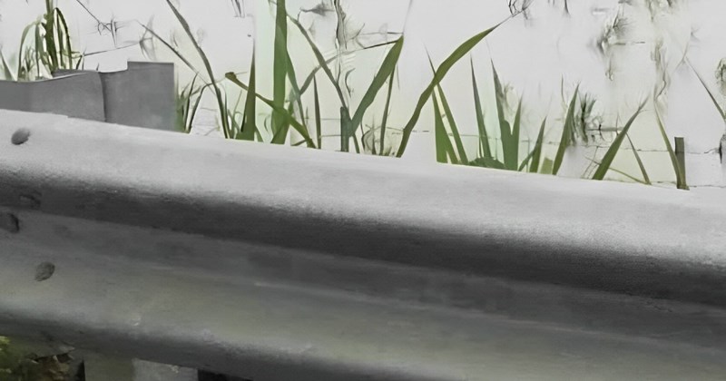 Netko je na autocesti u Slovačkoj snimio urnebesan prizor, nećete vjerovati u što gledate